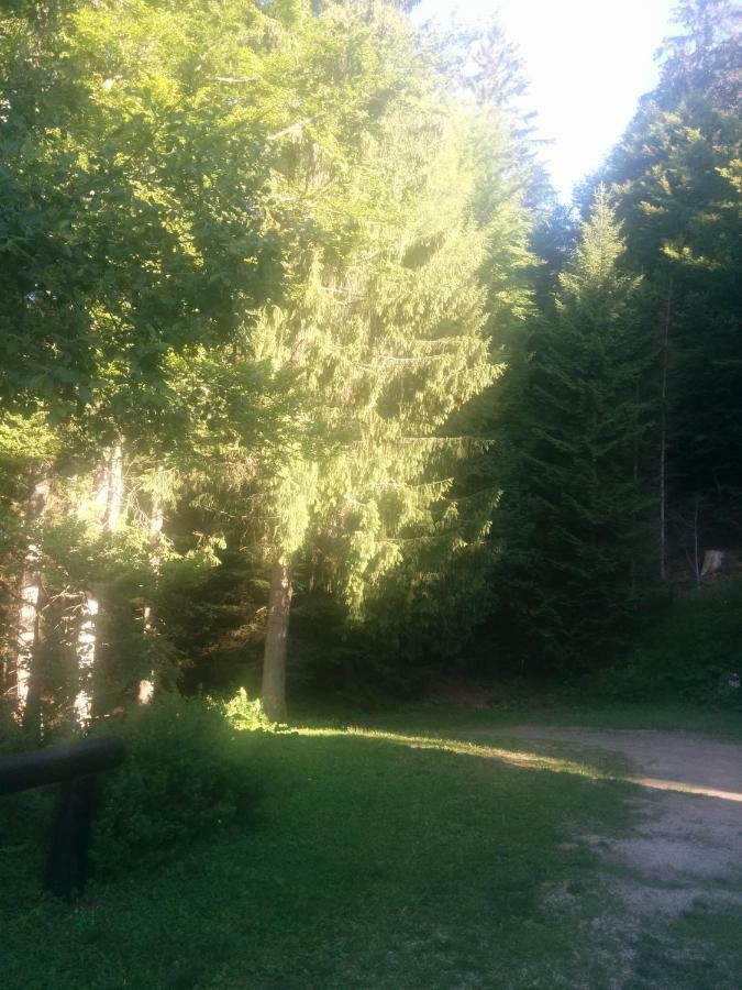 Abetina Leilighet Levico Terme Eksteriør bilde